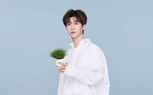 圈内人爆料贾玲范丞丞视频,娱乐圈再掀波澜 第2张 圈内人爆料贾玲范丞丞视频,娱乐圈再掀波澜 第2张